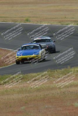 media/May-04-2024-Lucky Dog Racing (Sat) [[d39539b3f3]]/Race Pics/1015am (Turn 2)/